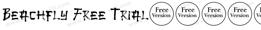 Beachfly Free Trial字体转换